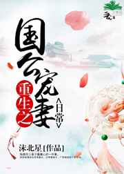 四爷的心尖宠妃未删减版笔趣阁