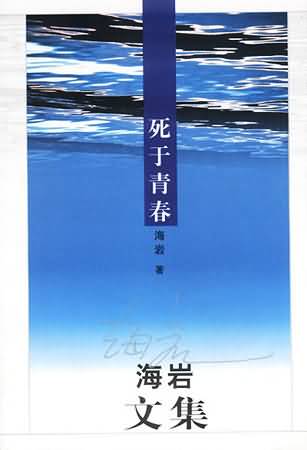 Jizz护士