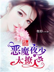 小奴婢与大少爷