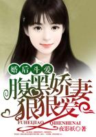新不了情电视剧