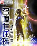四副两高