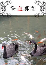 小心肝by夕阳看鱼