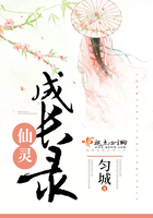 专职高手
