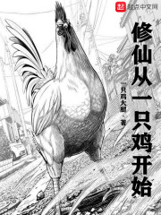 王宝强电影大全免费