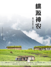 无翼鸟彩色大全图片