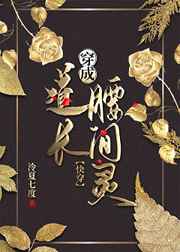 千金百分百电视剧