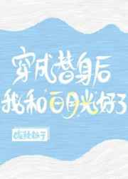 花城谢怜车图片(长图)