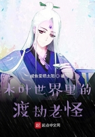 闪客快打官网