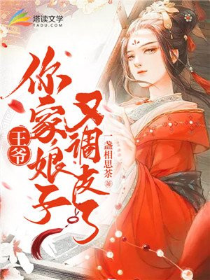 袁阔成评书三国演义365回