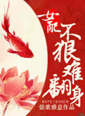 归路小说墨宝非宝免费阅读
