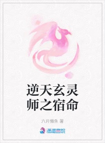 追击者电视剧