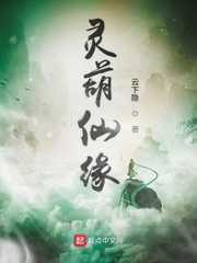 龟派性功波漫画布尔玛