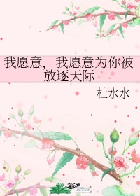 暗黑2v1.11修改器