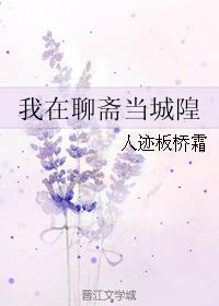 撒贝宁主持的节目
