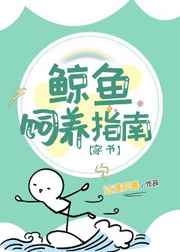梦幻西游凌波城怎么加点