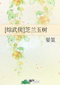 中年同志小说