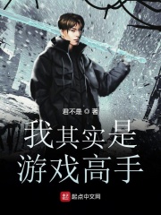 艳情武侠小说侠女