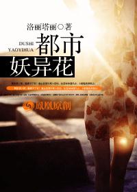 襄阳秘史