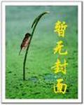 张宇峰