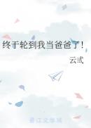 野心家石头与水