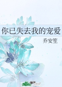 免费岛国大片在线观看