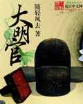 视频聊天平台