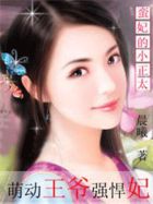 踏破硝烟电视剧全集免费观看