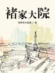 随风视频