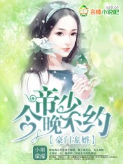 种子猫kitty官网