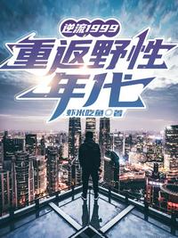 陈情令小说