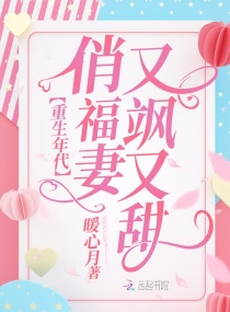 镜子骑士