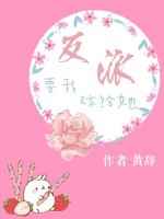 全知读者视角
