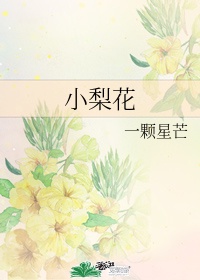 老千2-神之手