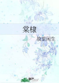 以圣光之名