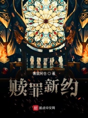 神偷艳贼