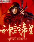 男女视频在线