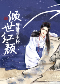 双探演员表