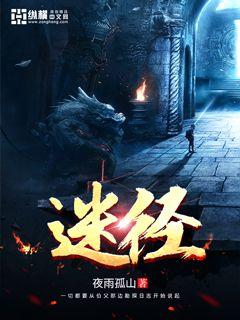 女权世界的逃婚美男