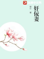 铁血使命电视剧