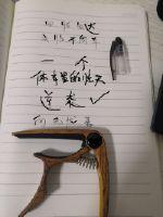 天盛长歌在线电视剧免费观看