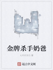 庭院深深小说