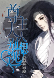 黄色专区