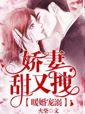 妈妈的职业3你怎么看