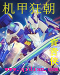 使命召唤8 错误