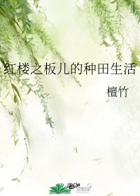 我的小嫂子