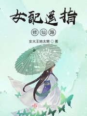 免费非会员体验区完整版