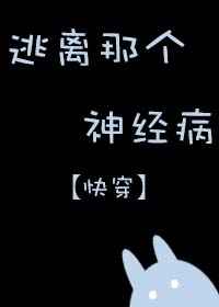 猪猪侠4