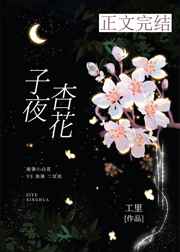 贾宝玉狂草林黛玉小说