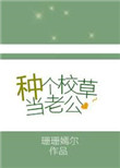 二炮手45集电视剧免费观看高清