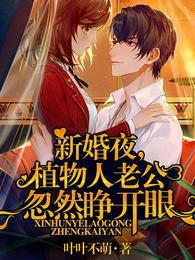 尹向晚靳夜擎小说